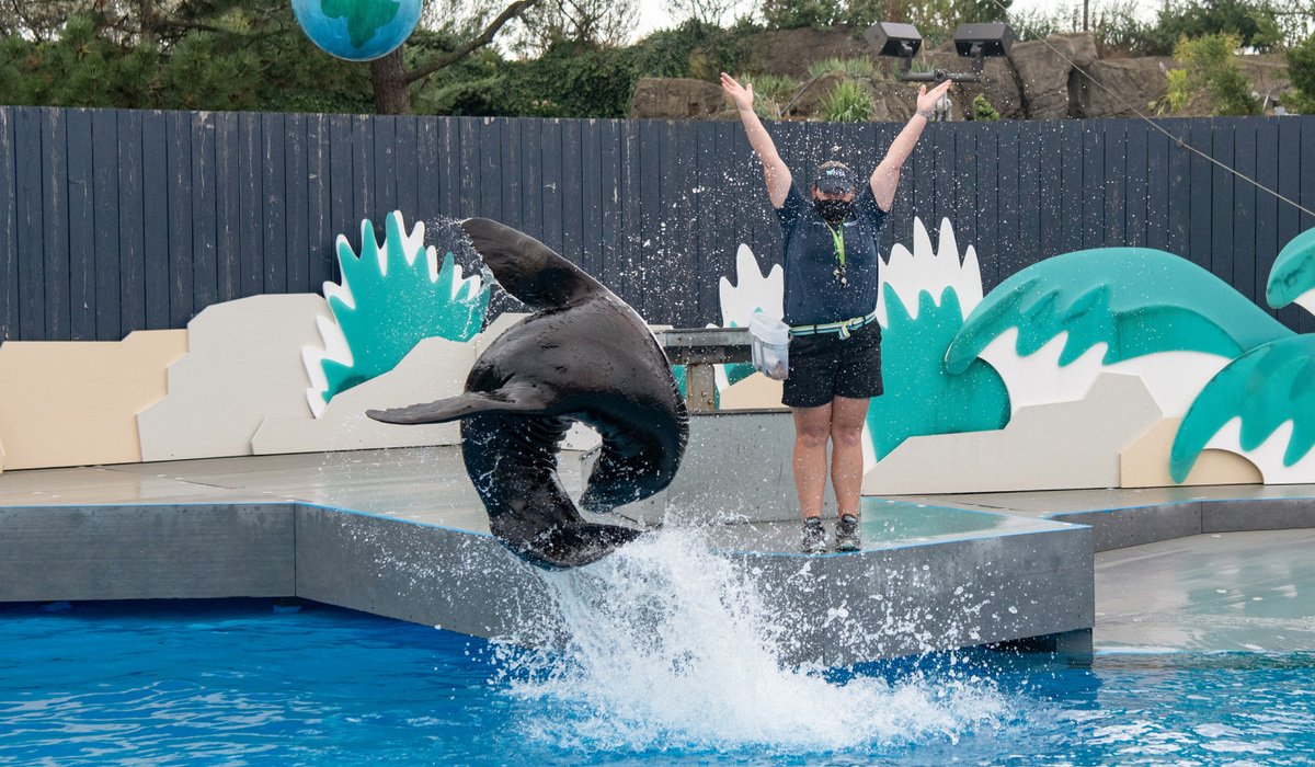 🐬 돌고래 섬 (이루카지마) 이미지 4